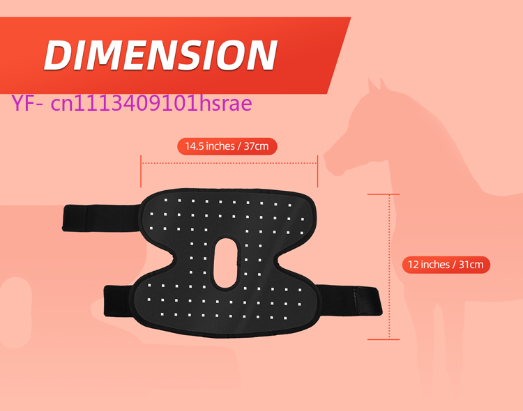 Built-in Battery Horse Red Lig - Red Light Therapy Device 리뷰 및 가격