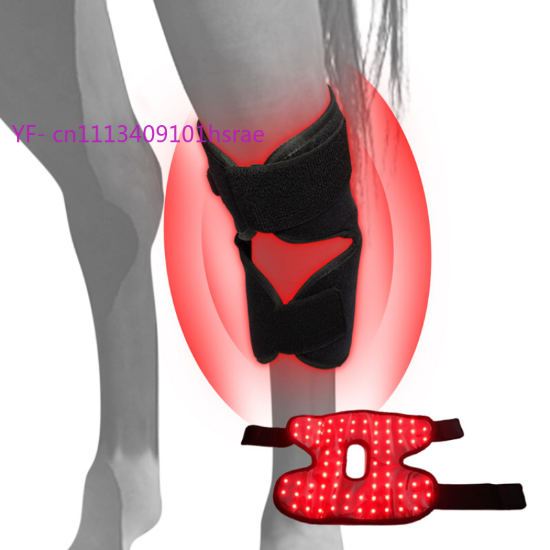 Built-in Battery Horse Red Lig - Red Light Therapy Device 리뷰 및 가격
