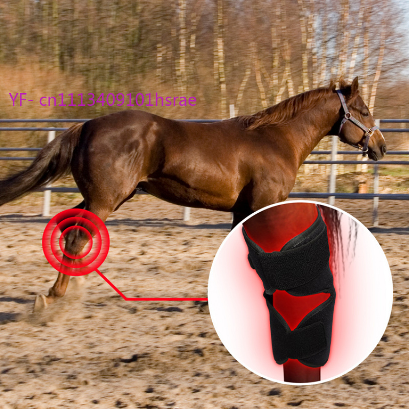 Built-in Battery Horse Red Lig - Red Light Therapy Device 리뷰 및 가격