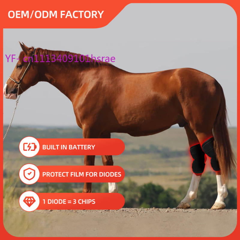 Built-in Battery Horse Red Lig - Red Light Therapy Device 리뷰 및 가격