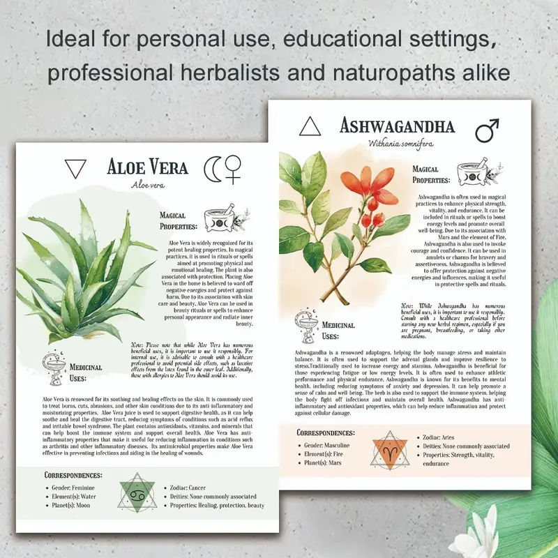 Natural Remedies Handbook with - Health & Wellness Programs 리뷰 및 가격