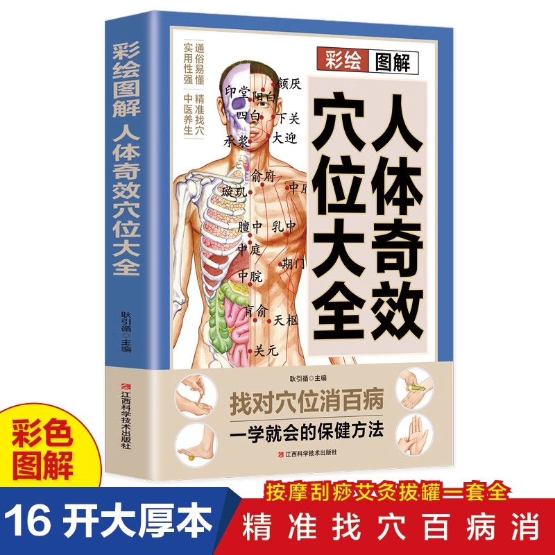 Complete Guide to Acupoint Mas - Health & Wellness Programs 리뷰 및 가격