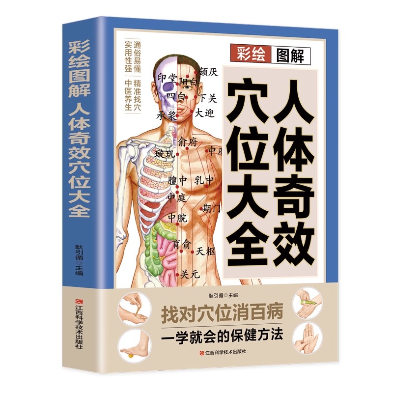 Complete Guide to Acupoint Mas - Health & Wellness Programs 리뷰 및 가격