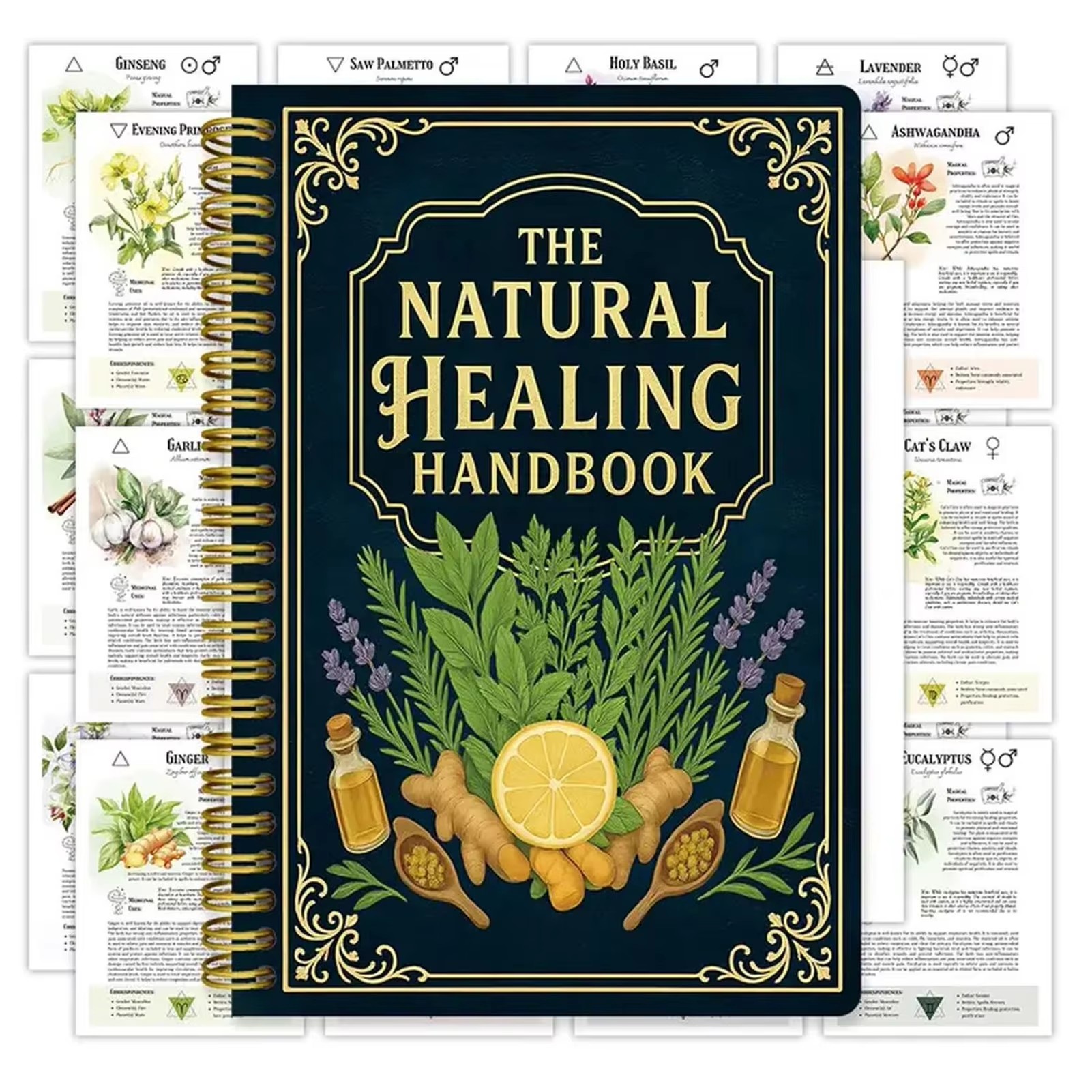 Healing Handbook By Luna Filby - Health & Wellness Programs 리뷰 및 가격