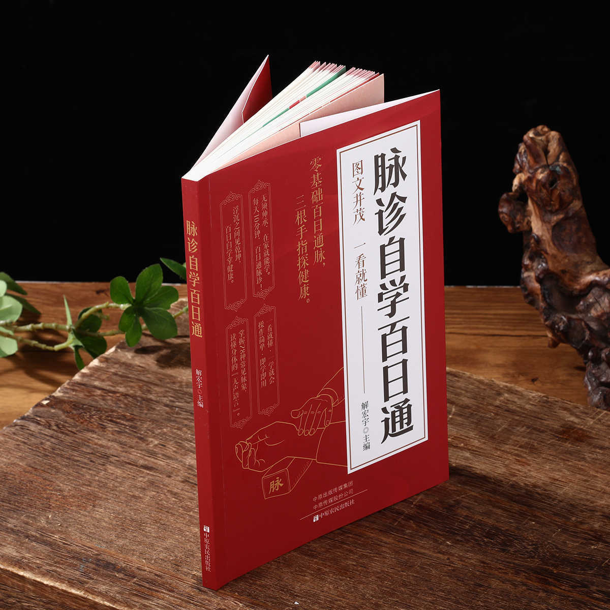 Pulse Diagnosis Self Study Hun - Health & Wellness Programs 리뷰 및 가격
